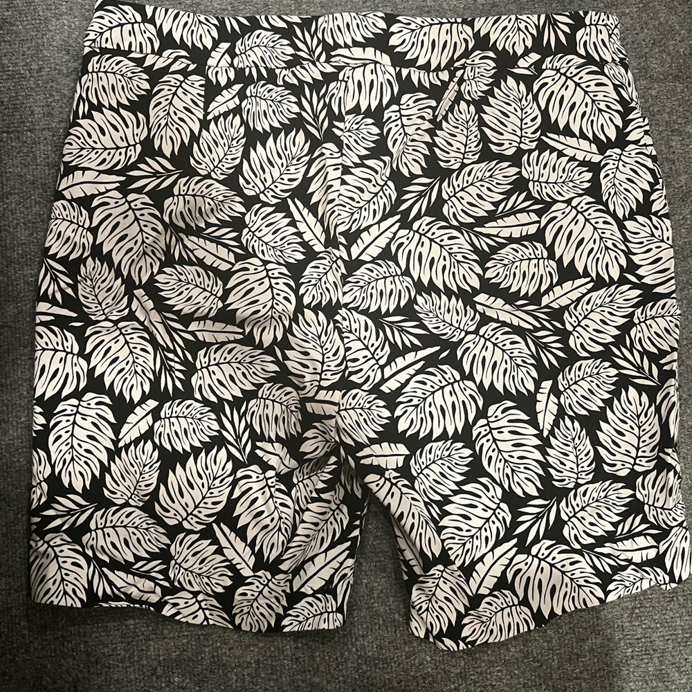 Terra and Sky Shorts - Picture 3 of 3
